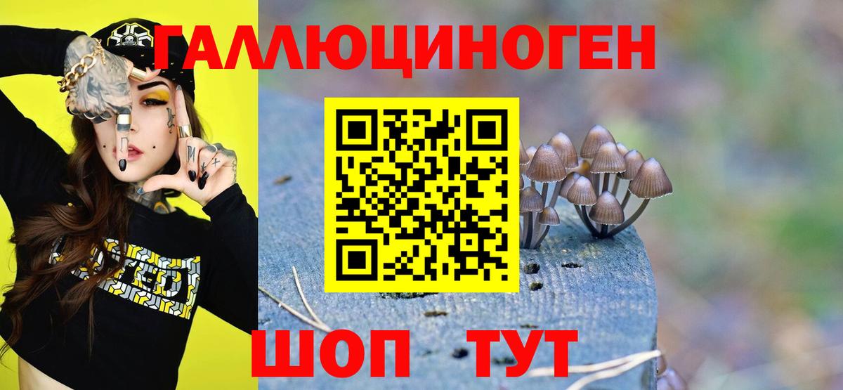 Сланцы  Галлюциногенные грибы Magic Shrooms  Галлюциногенные грибы GOLDEN TEACHER  Вход с VPN 