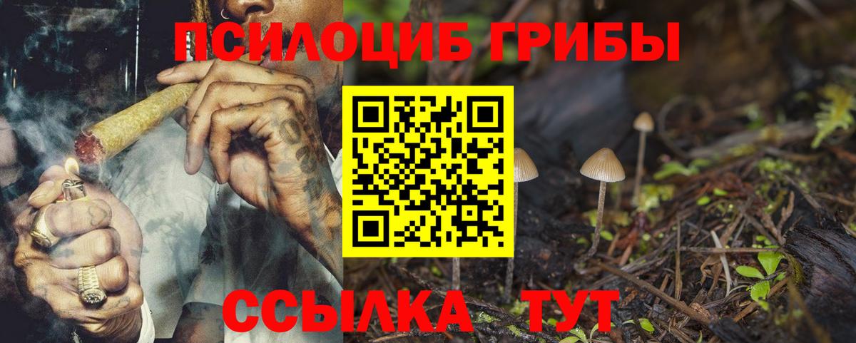 Галлюциногенные грибы ЛСД Сланцы